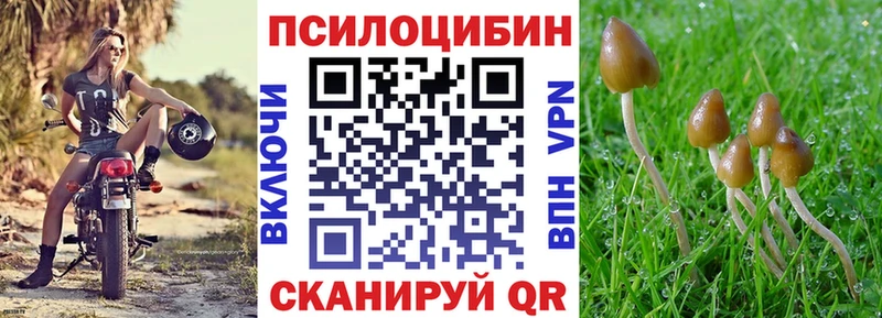 Псилоцибиновые грибы Psilocybine cubensis  цены наркотик  маркетплейс телеграм  Порхов 